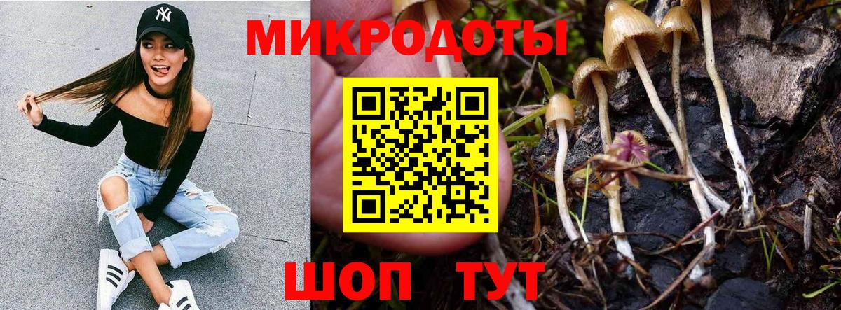 Псилоцибиновые грибы Psilocybe  Вход с VPN  Моршанск 